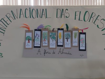 dia das florestas